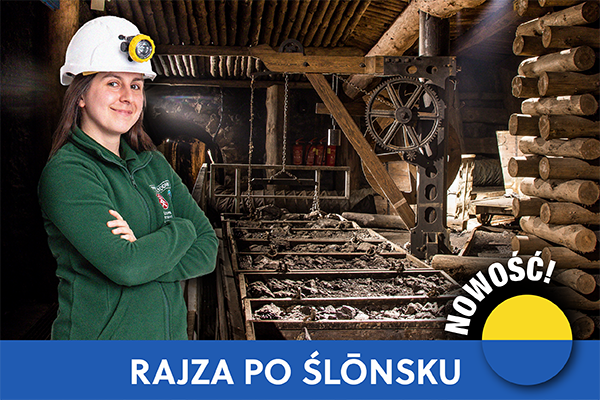 podziemno rajza kafelek v01