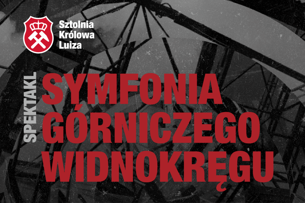 panel sprzedazowy symfonia-02